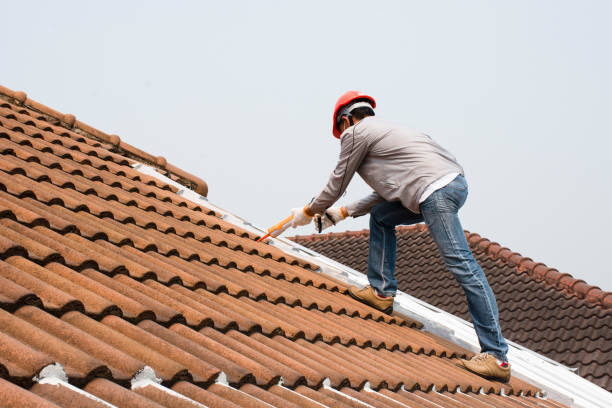 Best Metal Roofing Installation  in Royston, GA