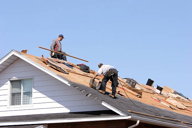 Best Rubber Roofing (EPDM, TPO)  in Royston, GA