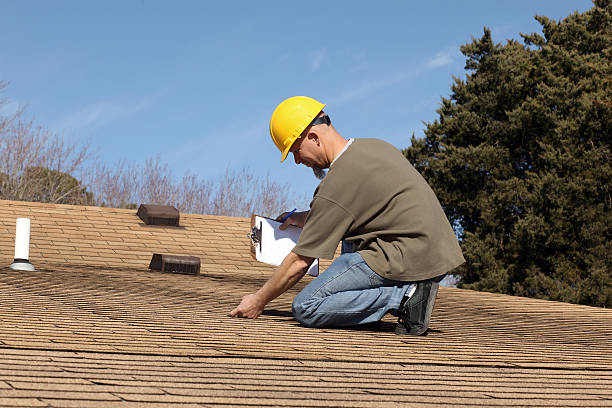 Best Solar Panel Roofing Installation  in Royston, GA